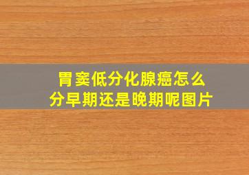 胃窦低分化腺癌怎么分早期还是晚期呢图片