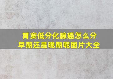 胃窦低分化腺癌怎么分早期还是晚期呢图片大全