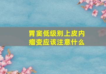 胃窦低级别上皮内瘤变应该注意什么