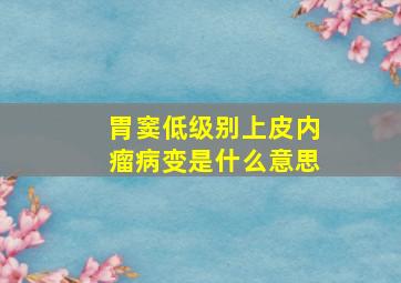 胃窦低级别上皮内瘤病变是什么意思