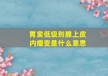 胃窦低级别腺上皮内瘤变是什么意思