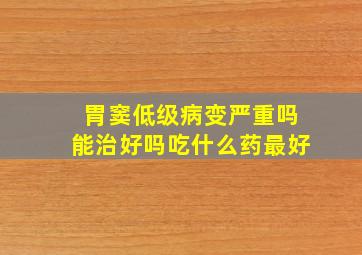 胃窦低级病变严重吗能治好吗吃什么药最好