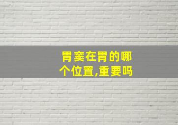 胃窦在胃的哪个位置,重要吗