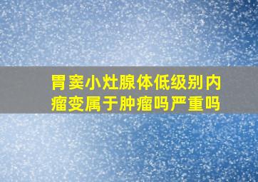 胃窦小灶腺体低级别内瘤变属于肿瘤吗严重吗