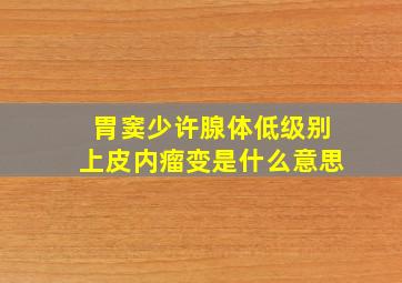 胃窦少许腺体低级别上皮内瘤变是什么意思