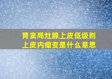 胃窦局灶腺上皮低级别上皮内瘤变是什么意思