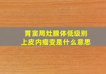 胃窦局灶腺体低级别上皮内瘤变是什么意思