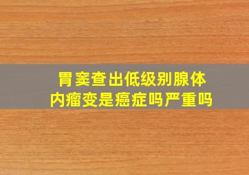 胃窦查出低级别腺体内瘤变是癌症吗严重吗