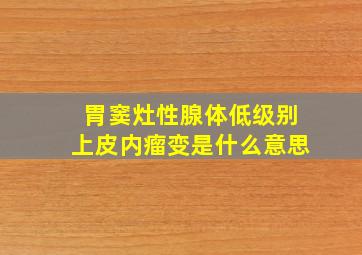 胃窦灶性腺体低级别上皮内瘤变是什么意思