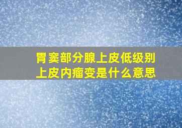 胃窦部分腺上皮低级别上皮内瘤变是什么意思