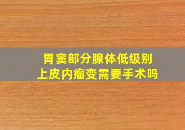 胃窦部分腺体低级别上皮内瘤变需要手术吗