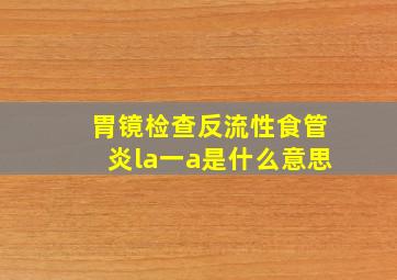 胃镜检查反流性食管炎la一a是什么意思