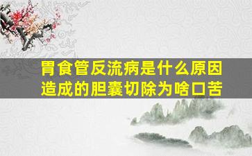 胃食管反流病是什么原因造成的胆囊切除为啥口苦