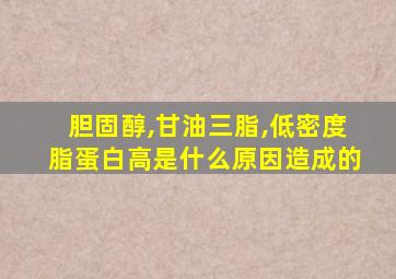 胆固醇,甘油三脂,低密度脂蛋白高是什么原因造成的