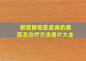 胆固醇低密度高的原因及治疗方法图片大全