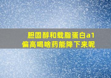 胆固醇和载脂蛋白a1偏高喝啥药能降下来呢