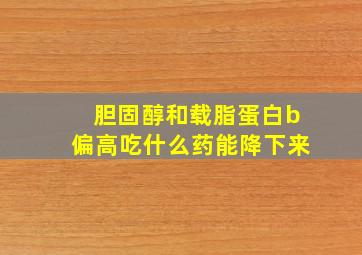 胆固醇和载脂蛋白b偏高吃什么药能降下来