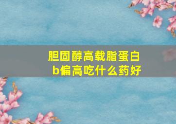 胆固醇高载脂蛋白b偏高吃什么药好