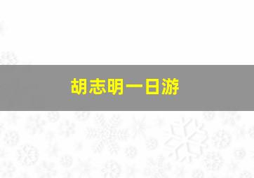 胡志明一日游