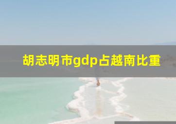 胡志明市gdp占越南比重