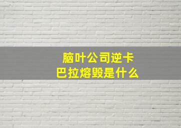 脑叶公司逆卡巴拉熔毁是什么