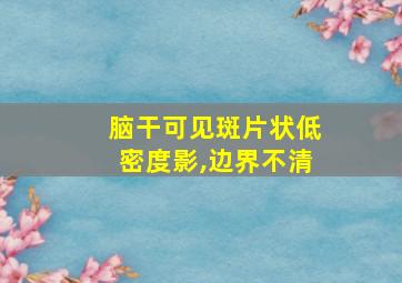 脑干可见斑片状低密度影,边界不清