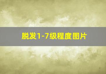 脱发1-7级程度图片