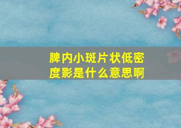 脾内小斑片状低密度影是什么意思啊