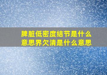 脾脏低密度结节是什么意思界欠清是什么意思