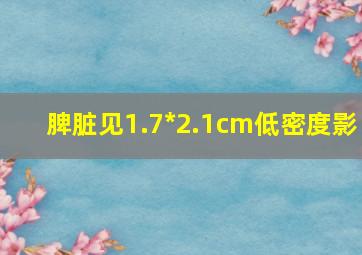 脾脏见1.7*2.1cm低密度影