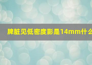 脾脏见低密度影是14mm什么