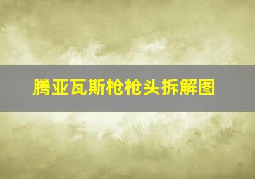 腾亚瓦斯枪枪头拆解图