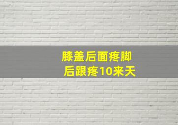 膝盖后面疼脚后跟疼10来天