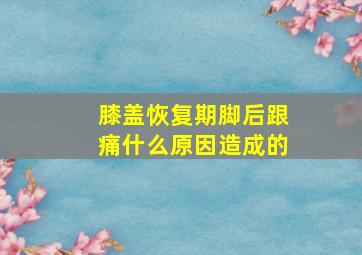 膝盖恢复期脚后跟痛什么原因造成的