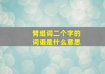 臂组词二个字的词语是什么意思