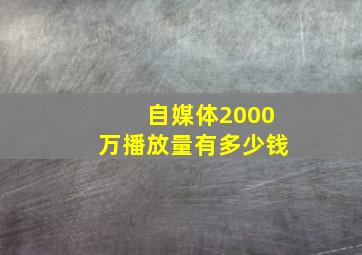 自媒体2000万播放量有多少钱