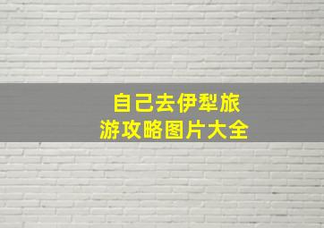 自己去伊犁旅游攻略图片大全