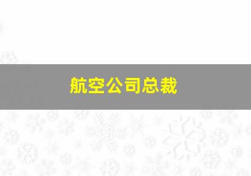 航空公司总裁