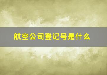 航空公司登记号是什么