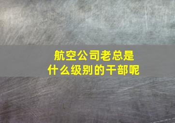 航空公司老总是什么级别的干部呢