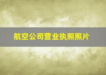 航空公司营业执照照片