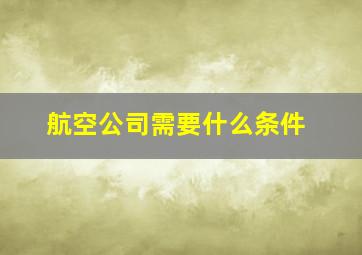 航空公司需要什么条件