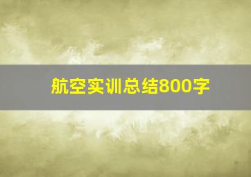 航空实训总结800字