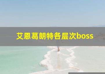 艾恩葛朗特各层次boss