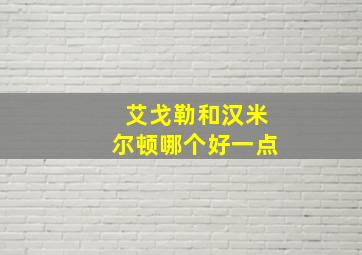 艾戈勒和汉米尔顿哪个好一点