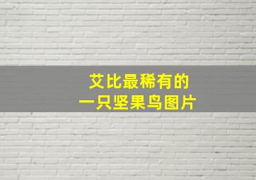 艾比最稀有的一只坚果鸟图片