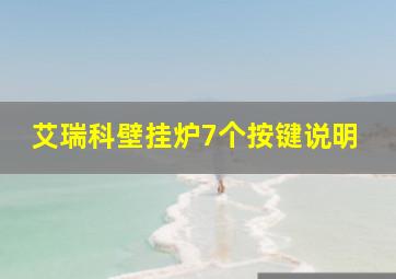 艾瑞科壁挂炉7个按键说明