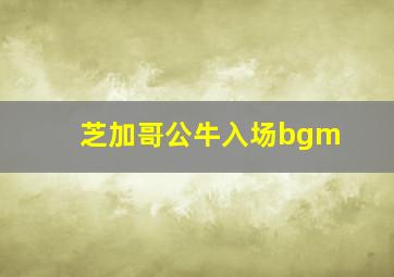 芝加哥公牛入场bgm