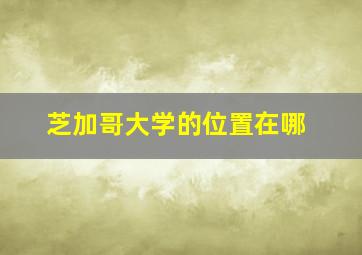 芝加哥大学的位置在哪