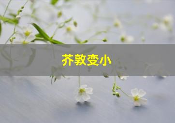 芥敦变小